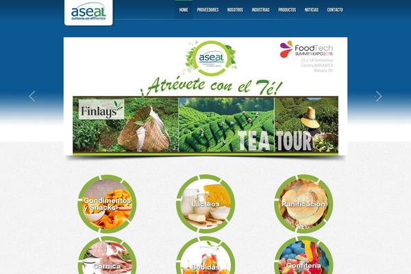 grupoaseal.com site used Smt