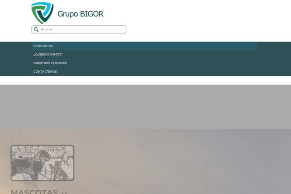 grupobigor.com site used Grupobigor