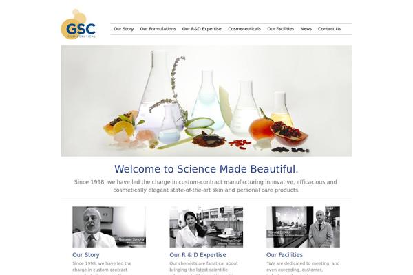 gscos.com site used Cleancanvas