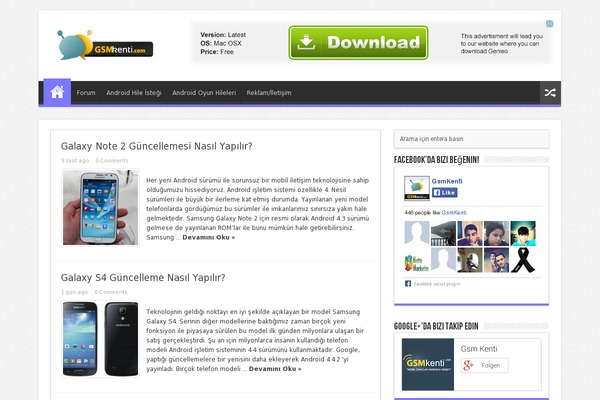 gsm theme websites examples