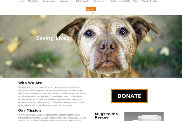 Divi theme site design template sample