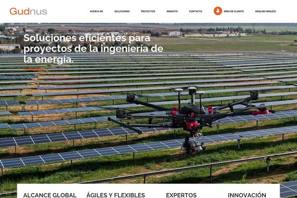 Site using Wpml-translation-management plugin