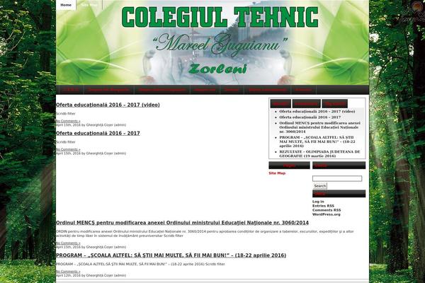 guguianu.ro site used Soccerine