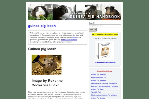 guineapigresource.com site used Nicheprofitpressv2