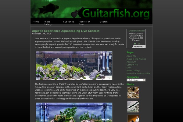 guitarfish.org site used Guitarfish
