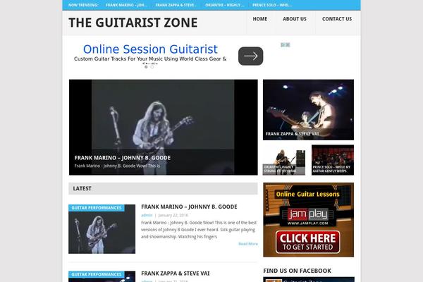 guitaristzone.com site used Niche-profit-theme