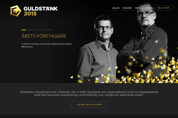 guldstank.se site used Guldstank14