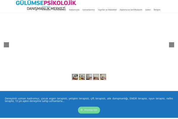 KLEO theme site design template sample