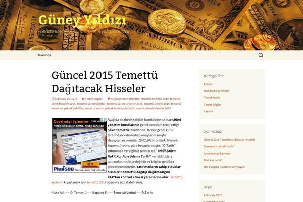 guneyyildizi.com site used Twenty Thirteen