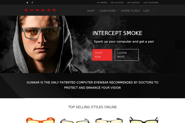 Salient theme site design template sample