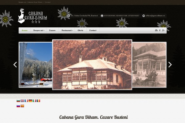 Site using Call Now Button plugin