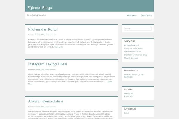 WordPress website example screenshot