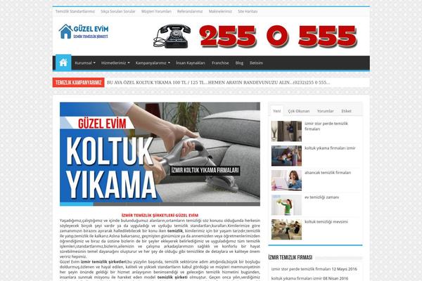 Sahifa theme site design template sample