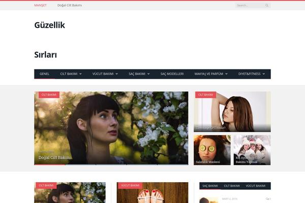 SmartMag theme site design template sample
