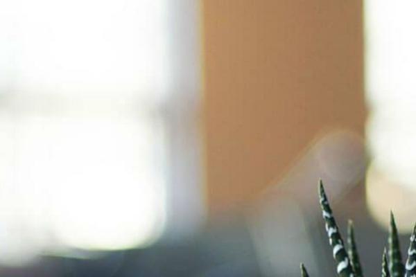 Twenty Twelve theme site design template sample