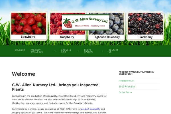 Hemingway theme site design template sample