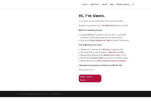 WordPress website example screenshot