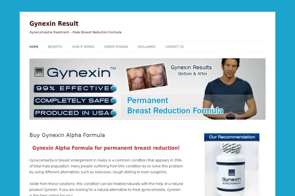 Twenty Twelve theme site design template sample