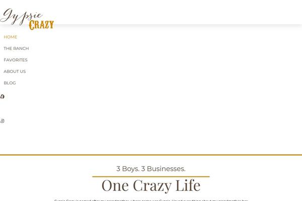 Pro theme site design template sample