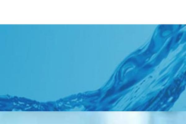 Site using Elementskit-lite plugin