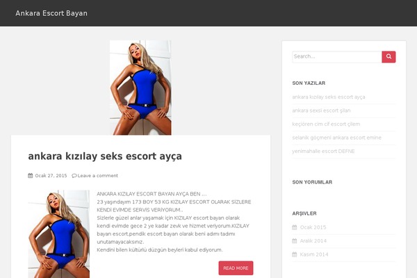 WordPress website example screenshot