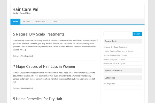 haircarepal.com site used Iconic One