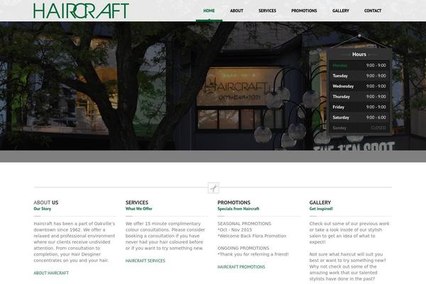 Salient theme site design template sample