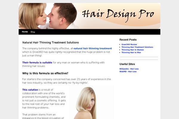 WordPress website example screenshot