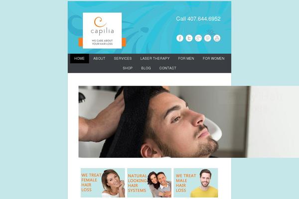 WordPress website example screenshot