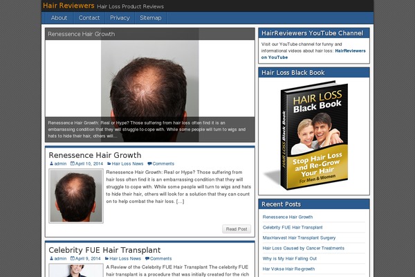WordPress website example screenshot