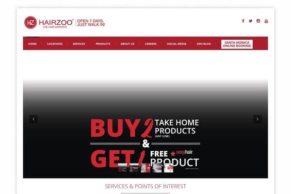 hairzoo.com site used Pallas