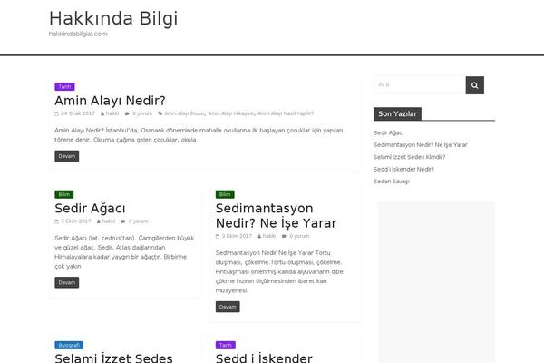 WordPress website example screenshot