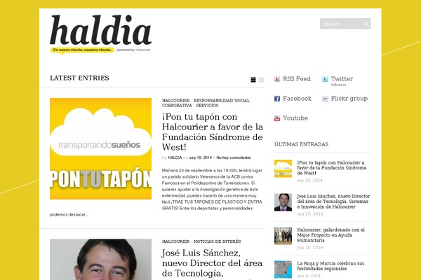 haldia.es site used Sight-wordpress-theme-updated