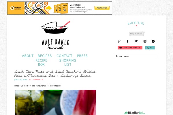 halfbakedharvest.com site used Half-baked-harvest-2020