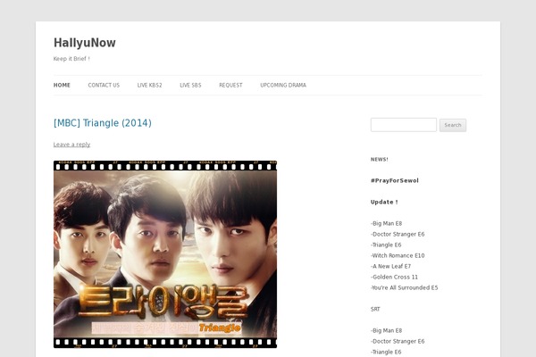 hallyunow.com site used Twenty Twelve