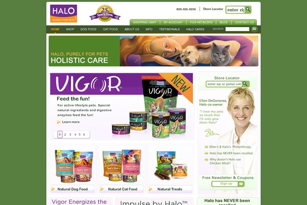 wp-foundation-child WordPress theme, websites list used wp-foundation-child theme wp-foundation-child theme websites examples