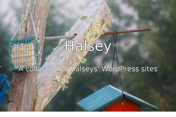 halsey.co site used Linework