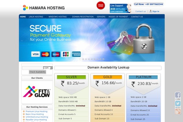 Twenty Ten theme site design template sample