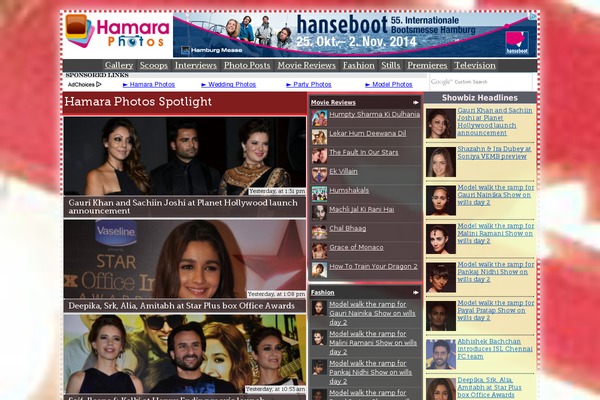 Bollywood theme websites examples