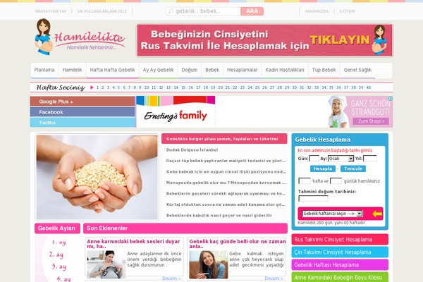 hamilelikte.com site used Birtekno