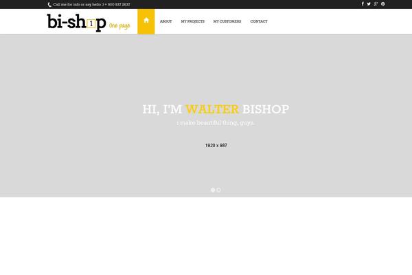 Bi-Shop theme site design template sample