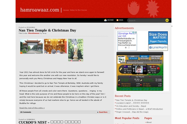 WordPress website example screenshot