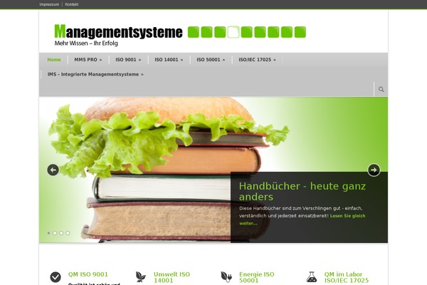 handbuch-managementsystem.de site used Modernize v3.13