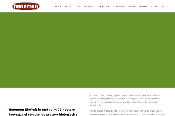 haneman.eu site used Haneman