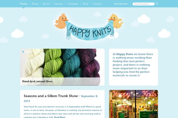 WordPress website example screenshot