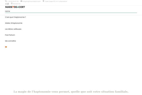 The7 theme site design template sample