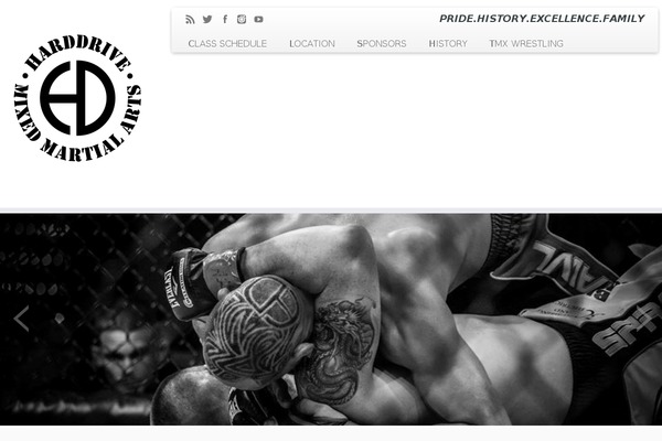 Customizr theme site design template sample