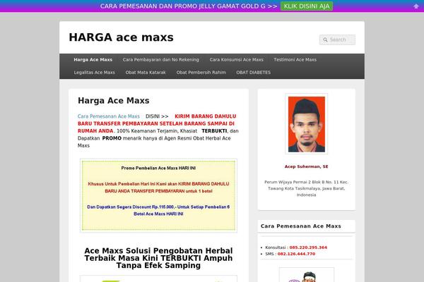 WordPress website example screenshot