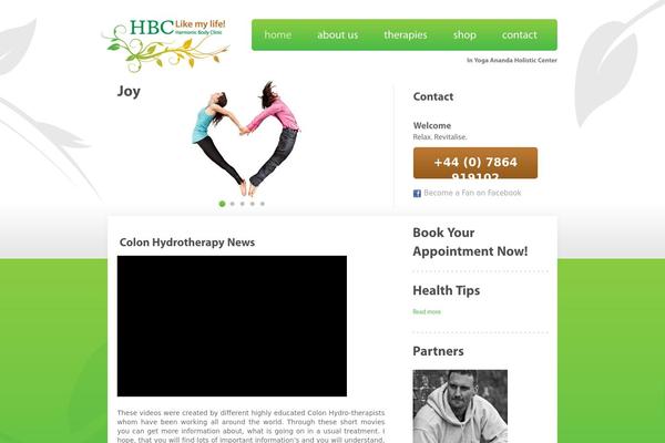 Hbc theme site design template sample
