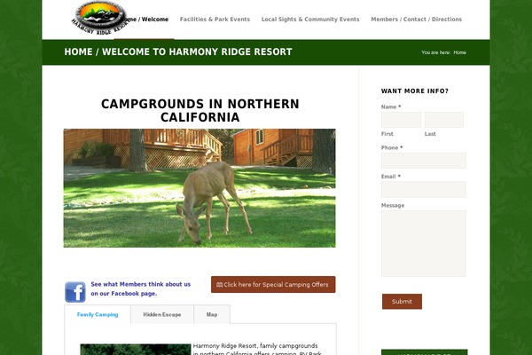 WordPress website example screenshot